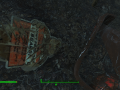 Fallout4 2015-11-21 18-07-11-10.png